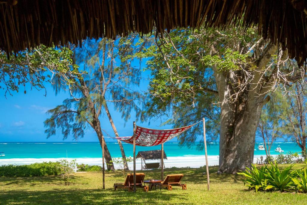 The Ultimate Safari & Beach Combo: Experience the Best of Kenya