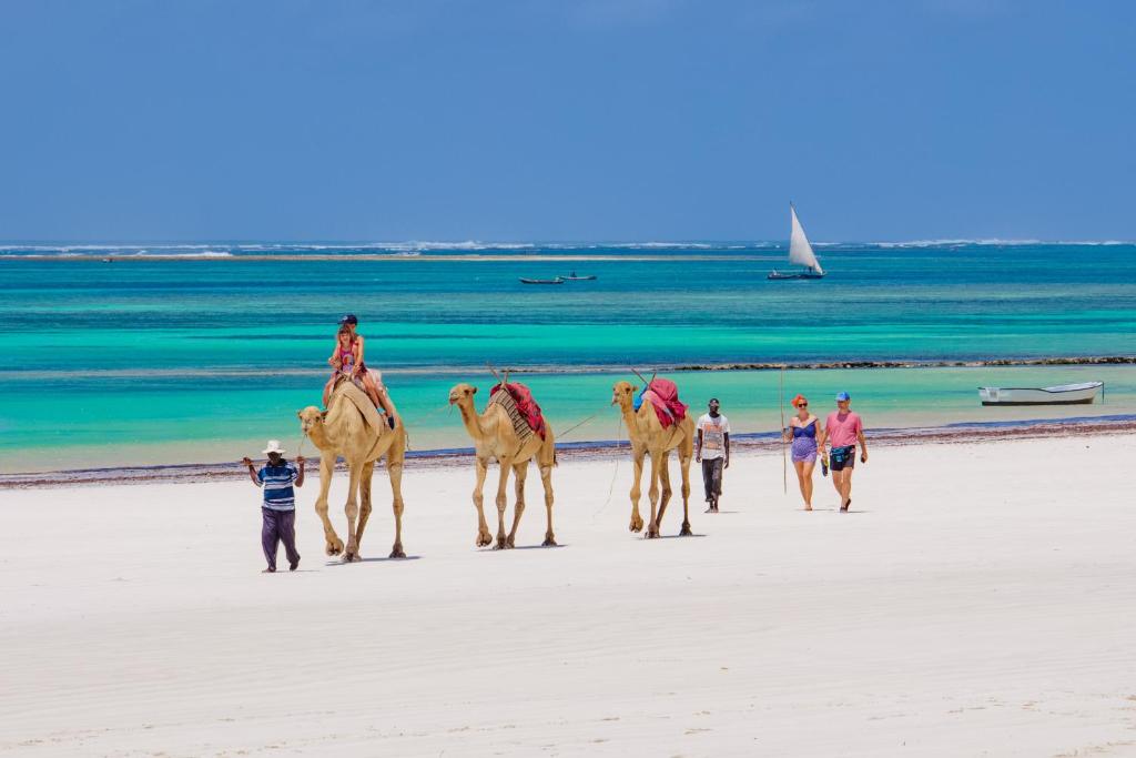 The Ultimate Safari & Beach Combo: Experience the Best of Kenya