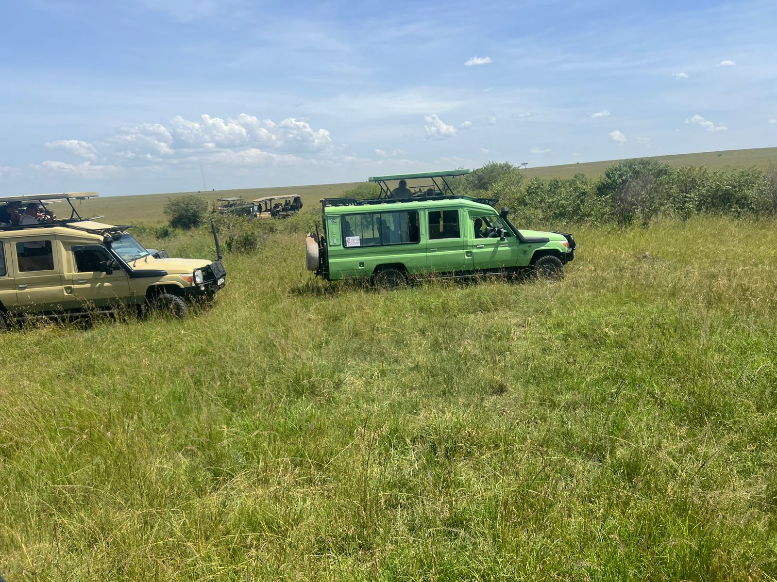 Why Booking with a Local Travel Agency in Kenya Makes All the Difference